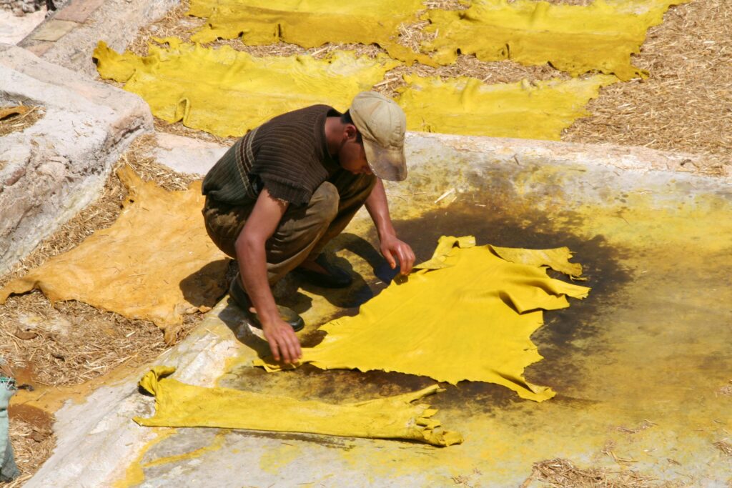 A worker handles dyed leather in the traditional tanneries of Fez, Morocco, showcasing the craftsmanship of leather processing.